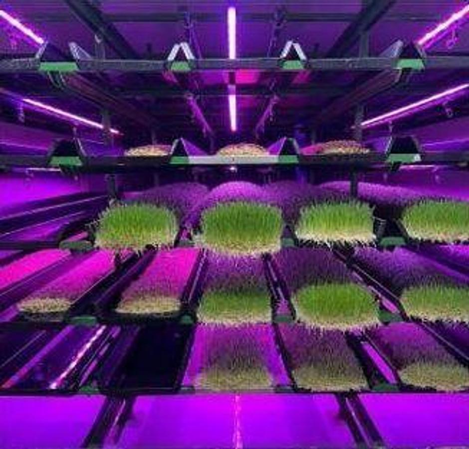 Used Hydroponic Container Growtech System