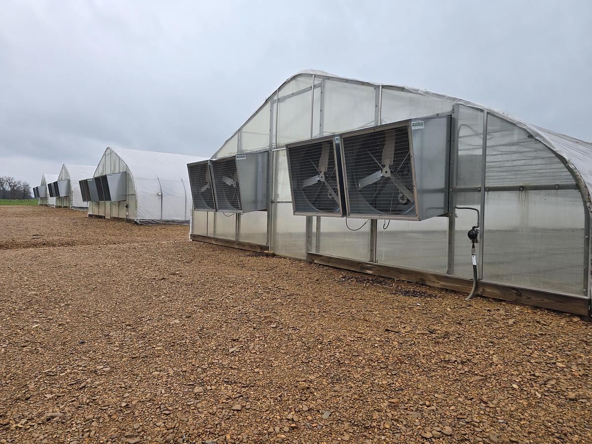 Used 2019 Greenhouses