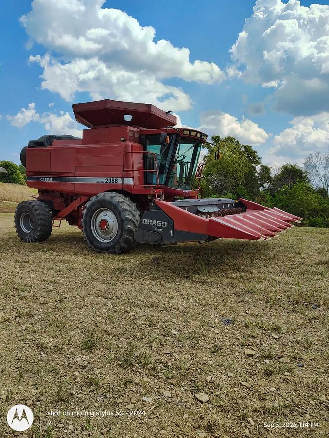 Used Drago N8 Corn Head