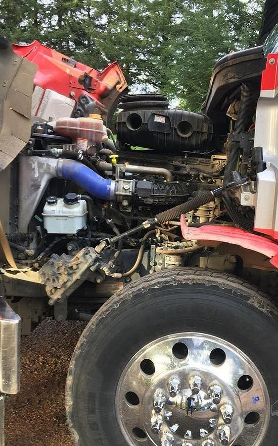 Used 2025 WESTERN STAR 49X Logging Truck