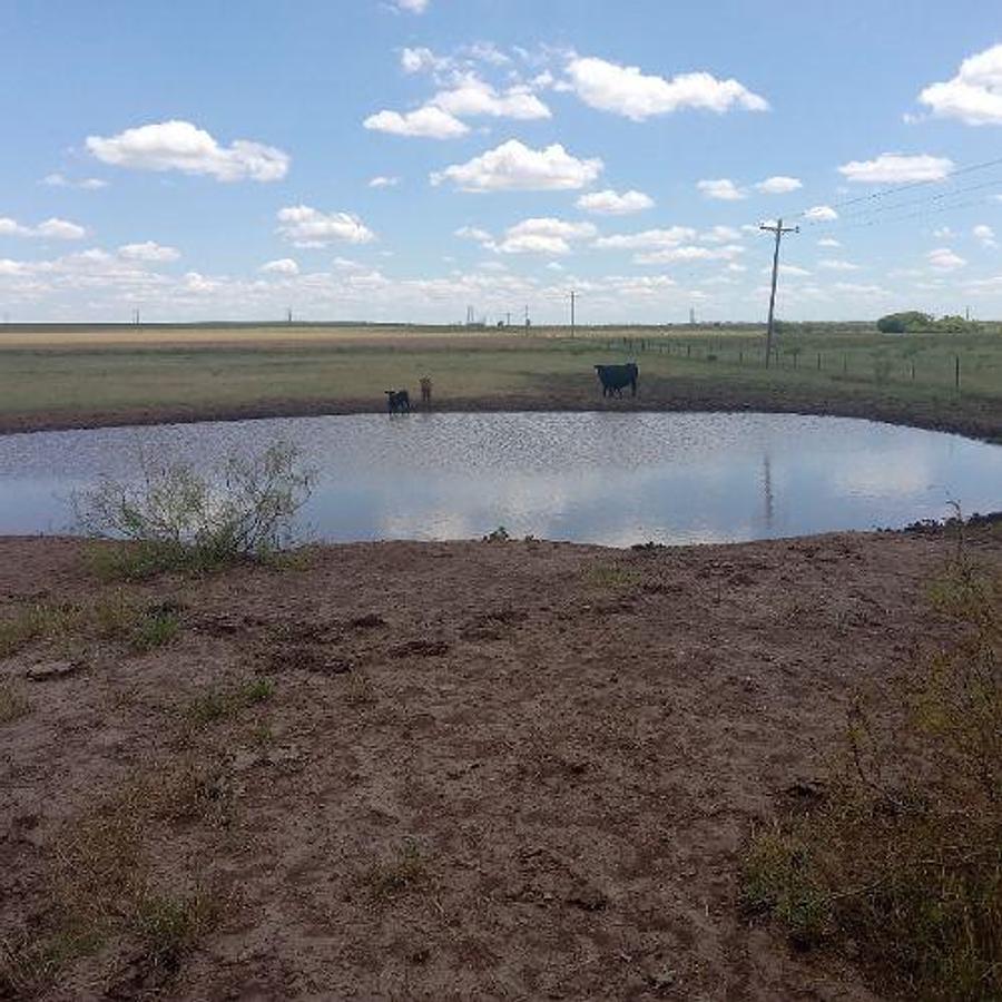 Used 2024 AG Land 162 Acres