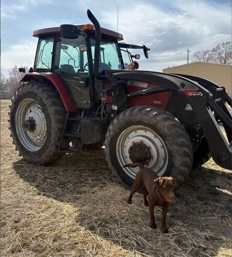Used 2003 Case IH MXM190
