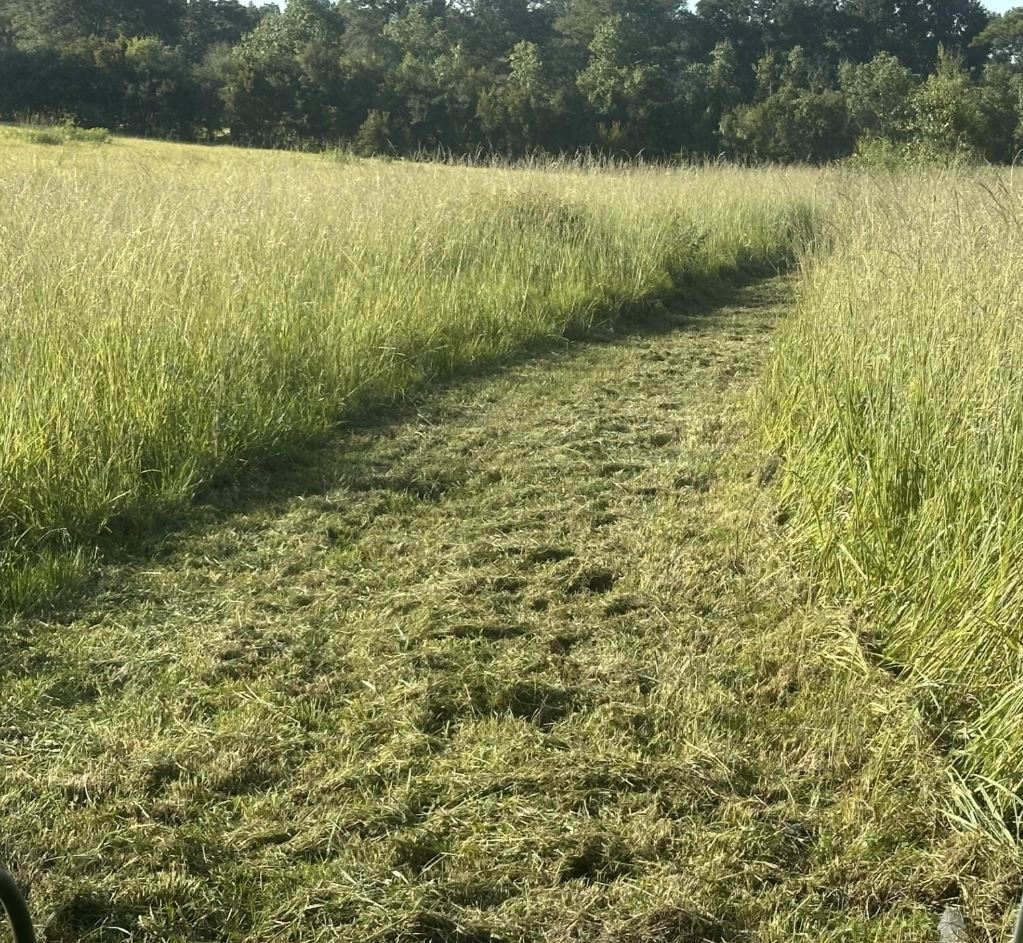 Used 2024 John Deere 5067E