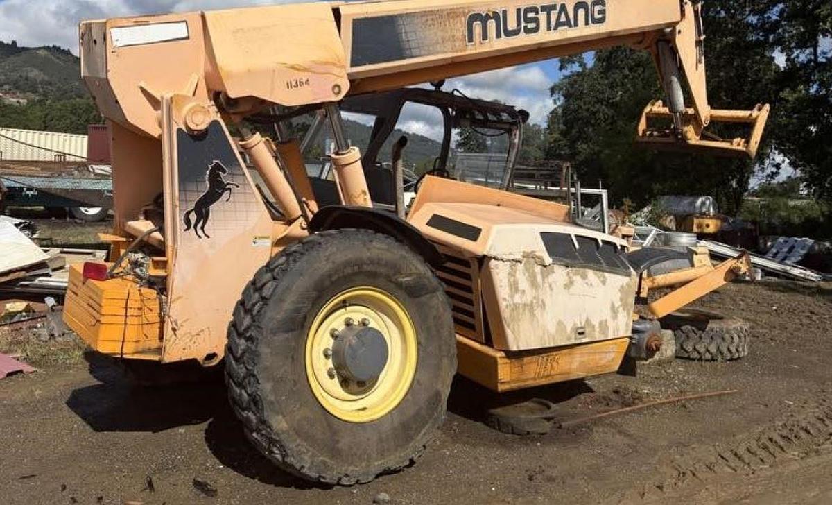 Used 1982 Mustang 1155