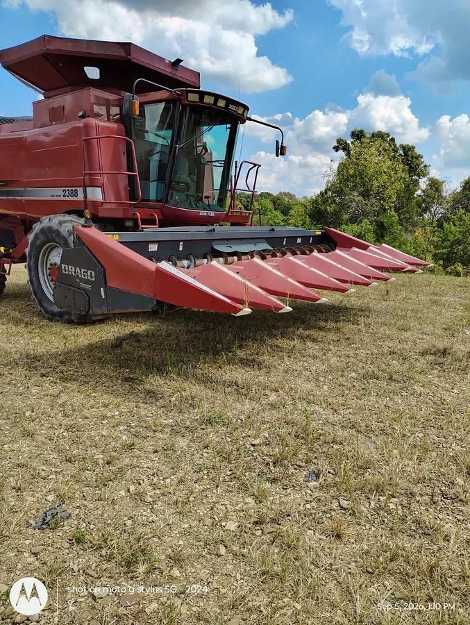 Used Drago N8 Corn Head