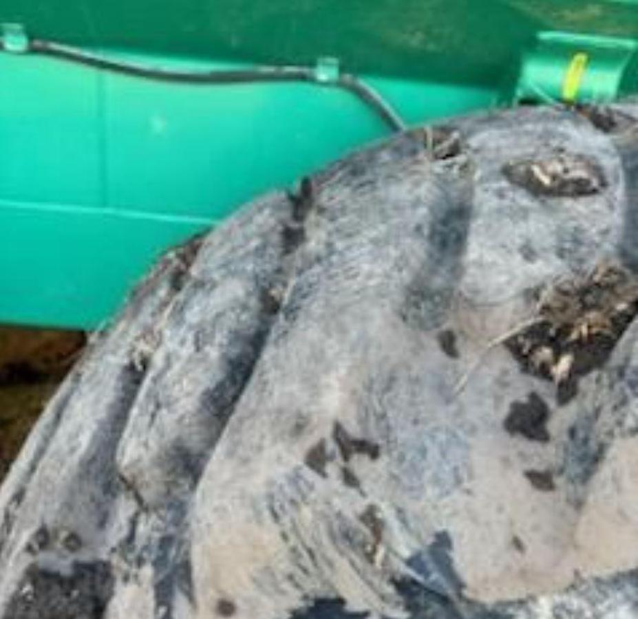 Used 2023 GEA EL48-6D6100