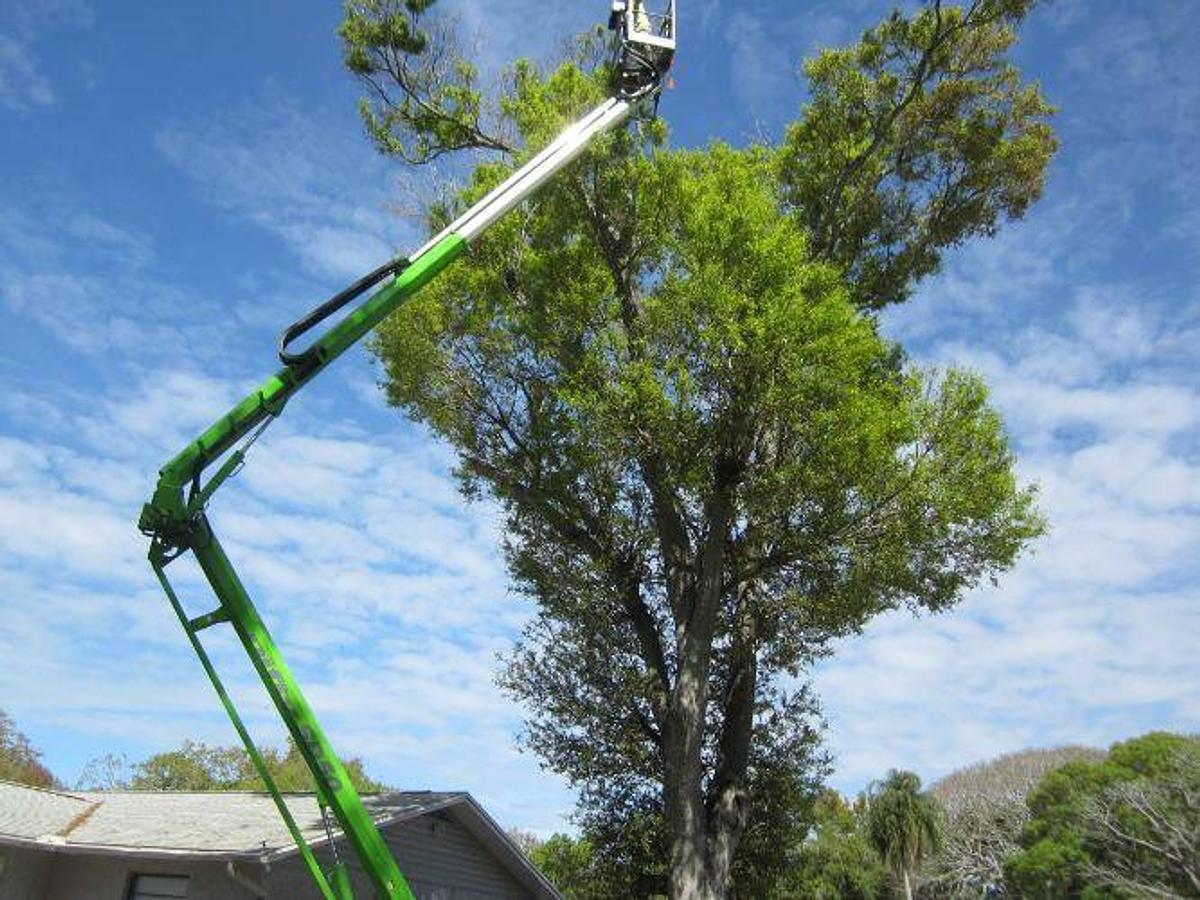 Used 2015 Nifty Lift SD 50