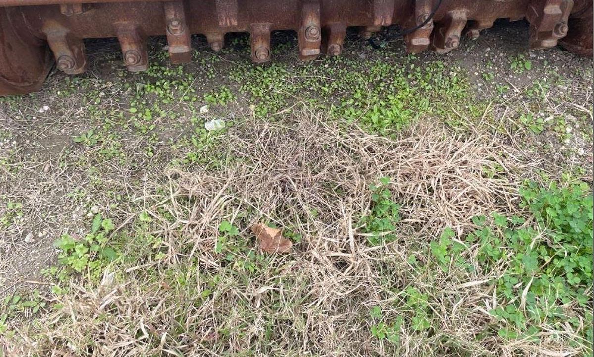 Used 2020 Caterpillar HM415C Mulcher