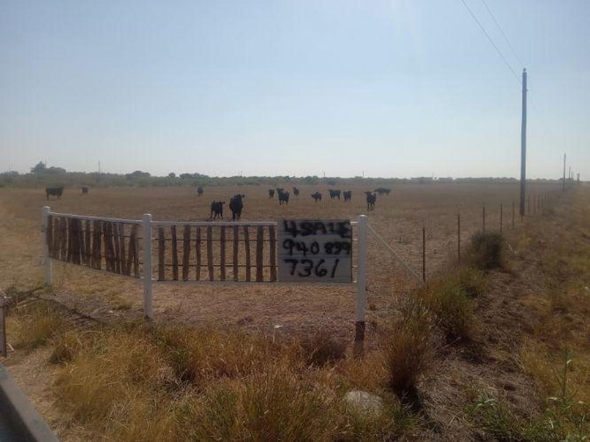 Used 2024 AG Land 162 Acres