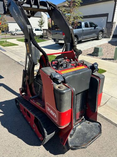 Toro Dingo