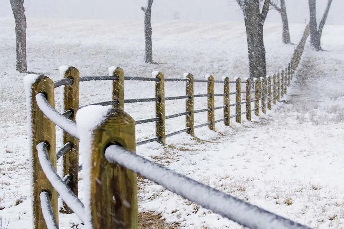 Used Priefert Ranch Fencing  Complete 466 Feet x 5 Feet, Package Ready to Ship