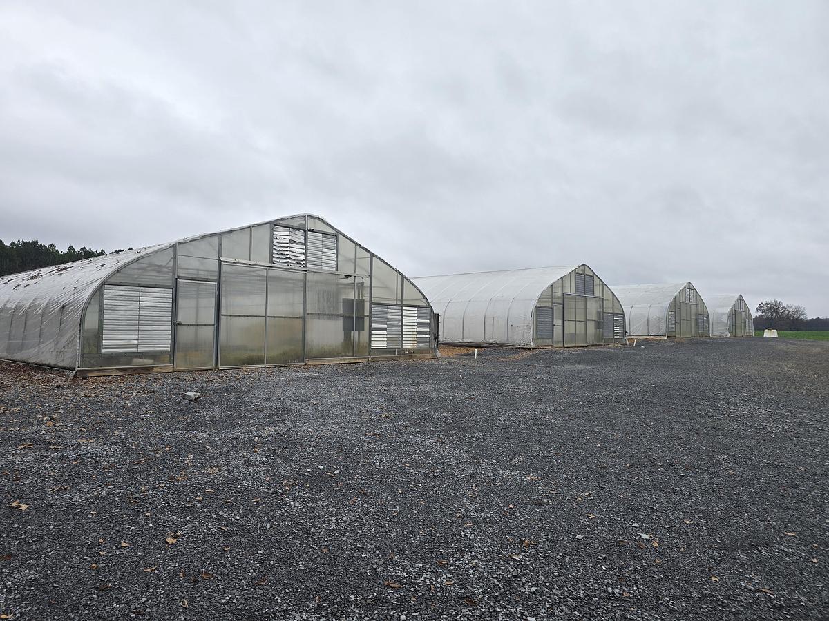 Used 2019 Greenhouses