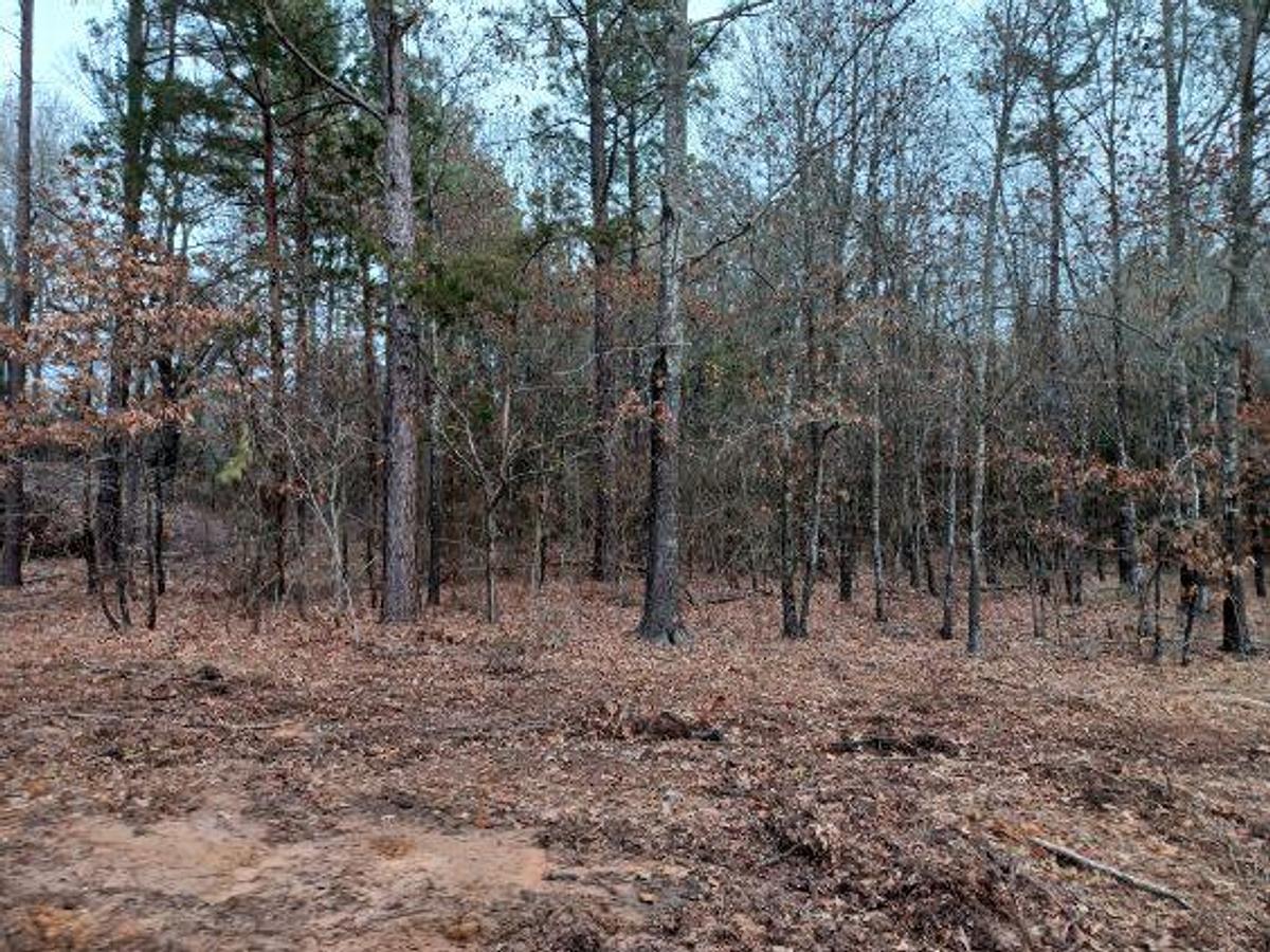 Used 27.963 Acres in Red River County TX