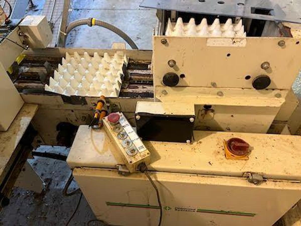 Used 1981 DIAMOND 15 CPH Egg Packer