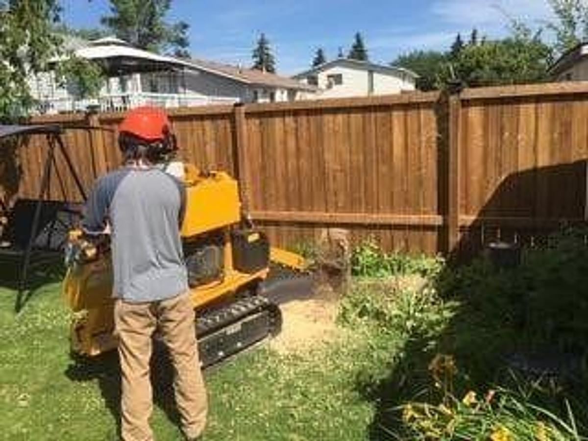 Used 2020 Laski P38M Stump Grinder