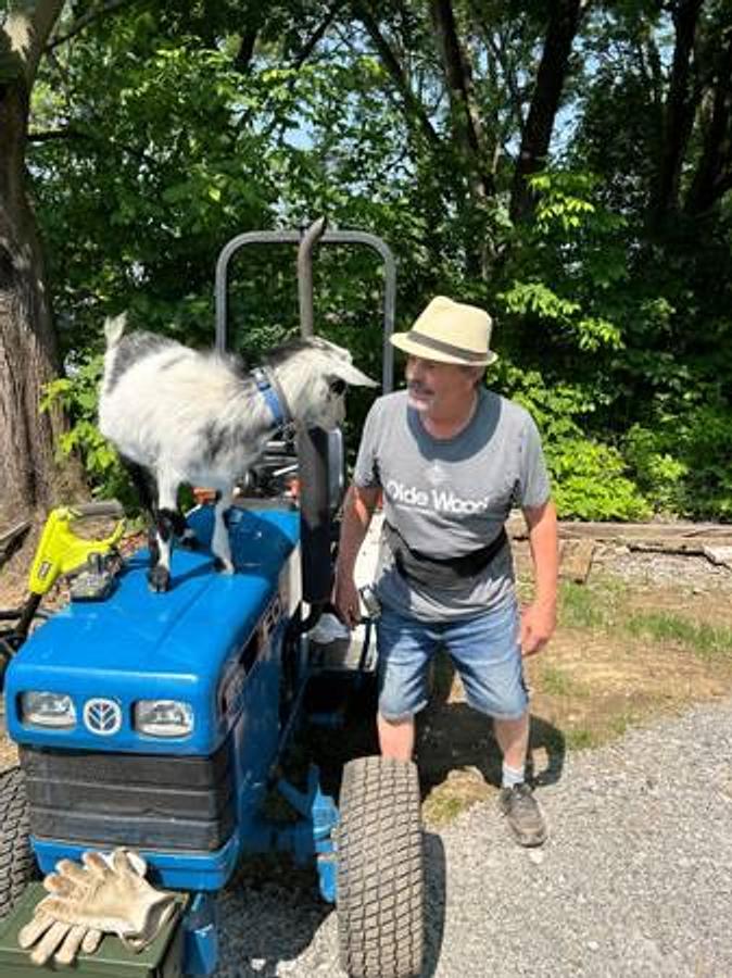 Used 1995 Ford 1215 Tractor with Mower Deck