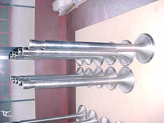 EXHAUST VALVES NEW MWM TBD 500