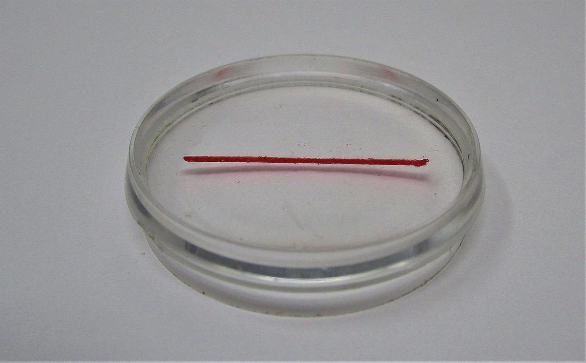 Magnifier | CBM21-123
