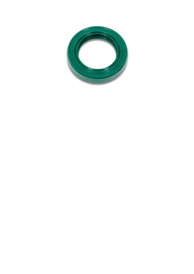 Oil Seal,25X38X07V | PM2820EVS-126
