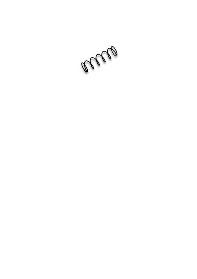 Spring | PM2820EVS-156
