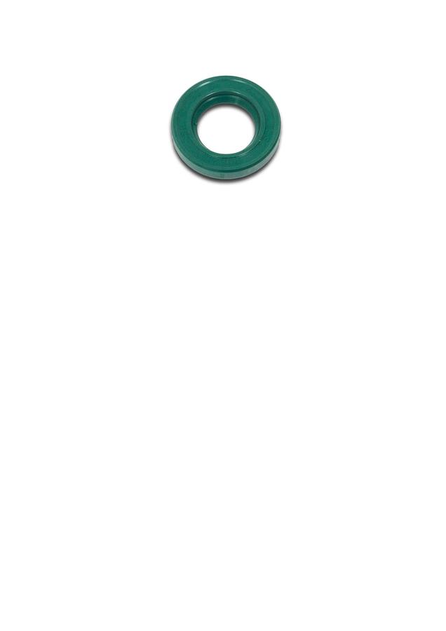 Oil Seal,17X30X05V | PM2820EVS-125