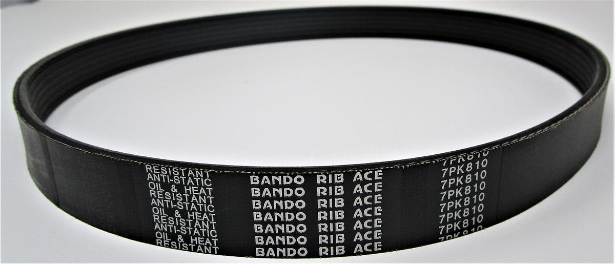Belt Pk X 7 Ribs X 32L | PM2415B-026