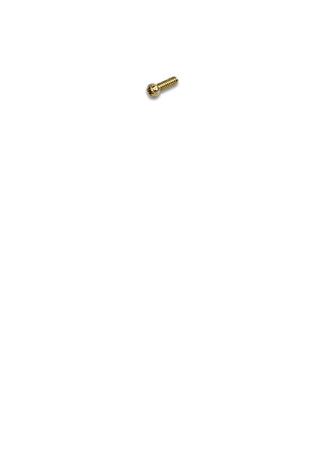Pan Head Screw,M2X6 | PM2820EVS-163