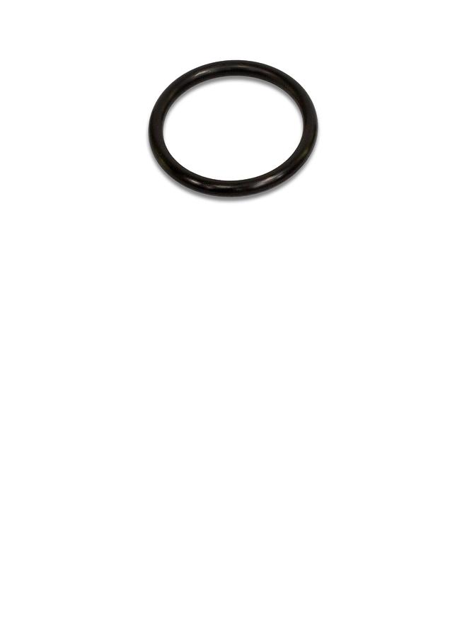 O-Ring,51.6X 5.7Mm | PM2820EVS-251