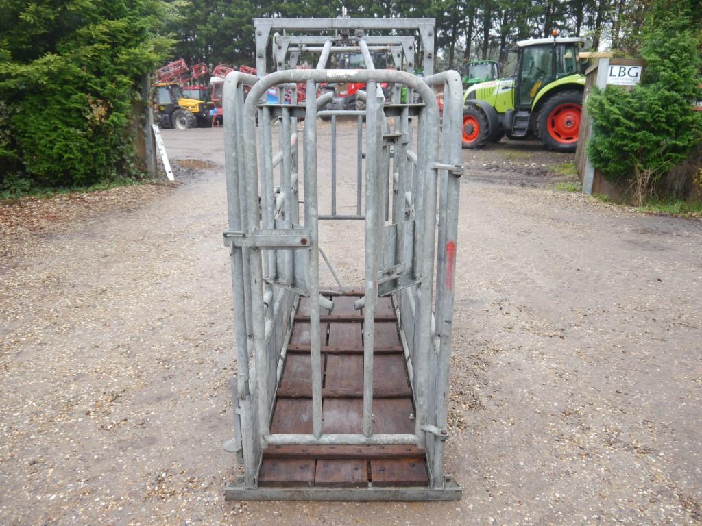 Used Loddon Cattle Crush