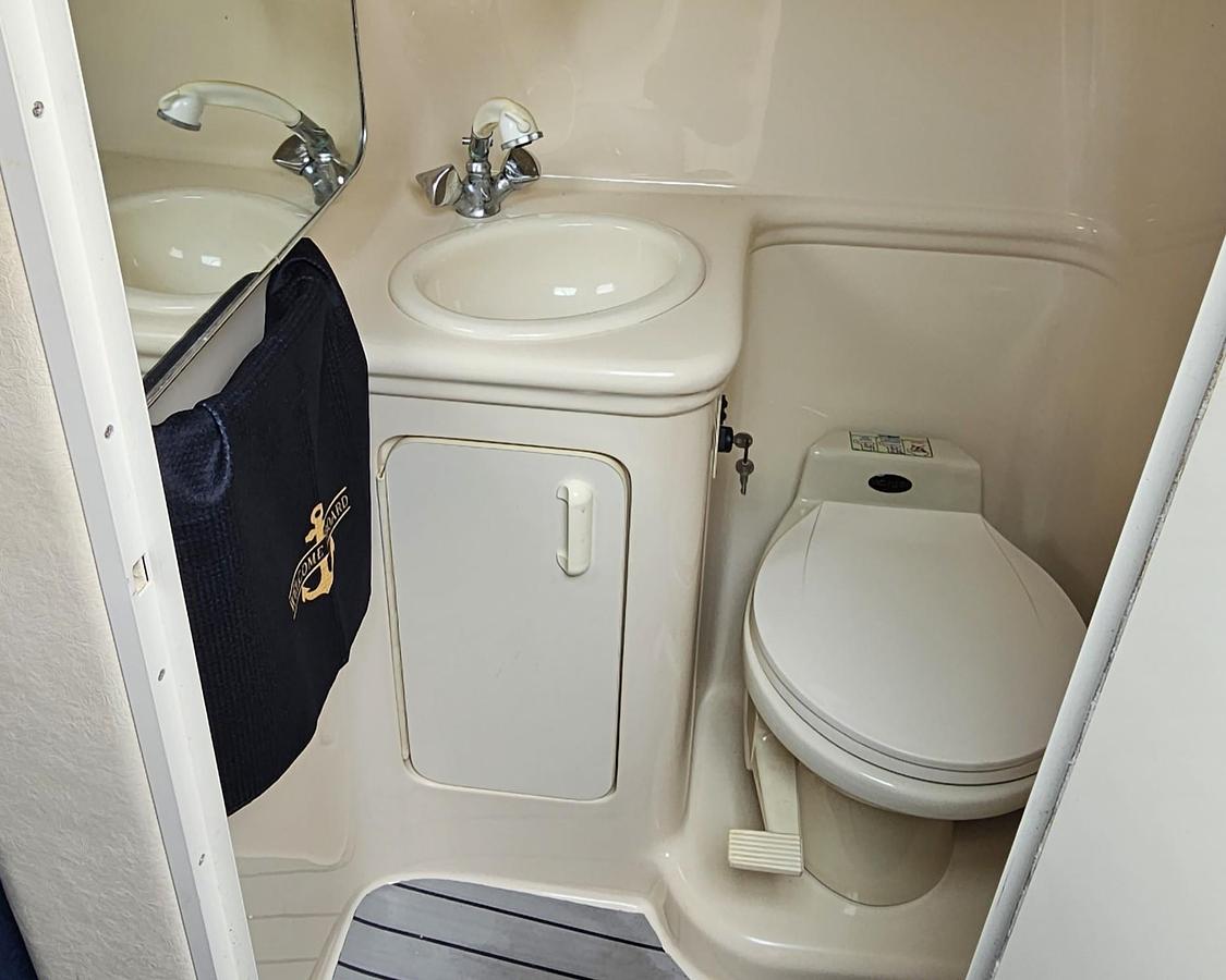 Used 1999 Sea Ray 260 Sundancer