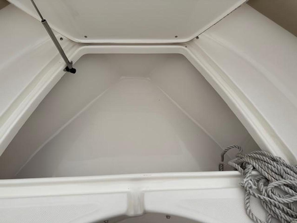 Used 2020 Pioneer 202 Islander