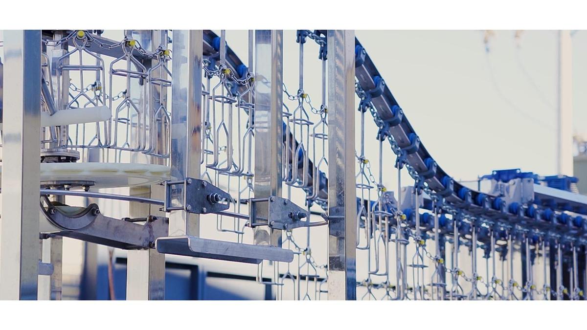 Poultry Machines Complete Poultry Slaughterhouse 1000/2500 BPH