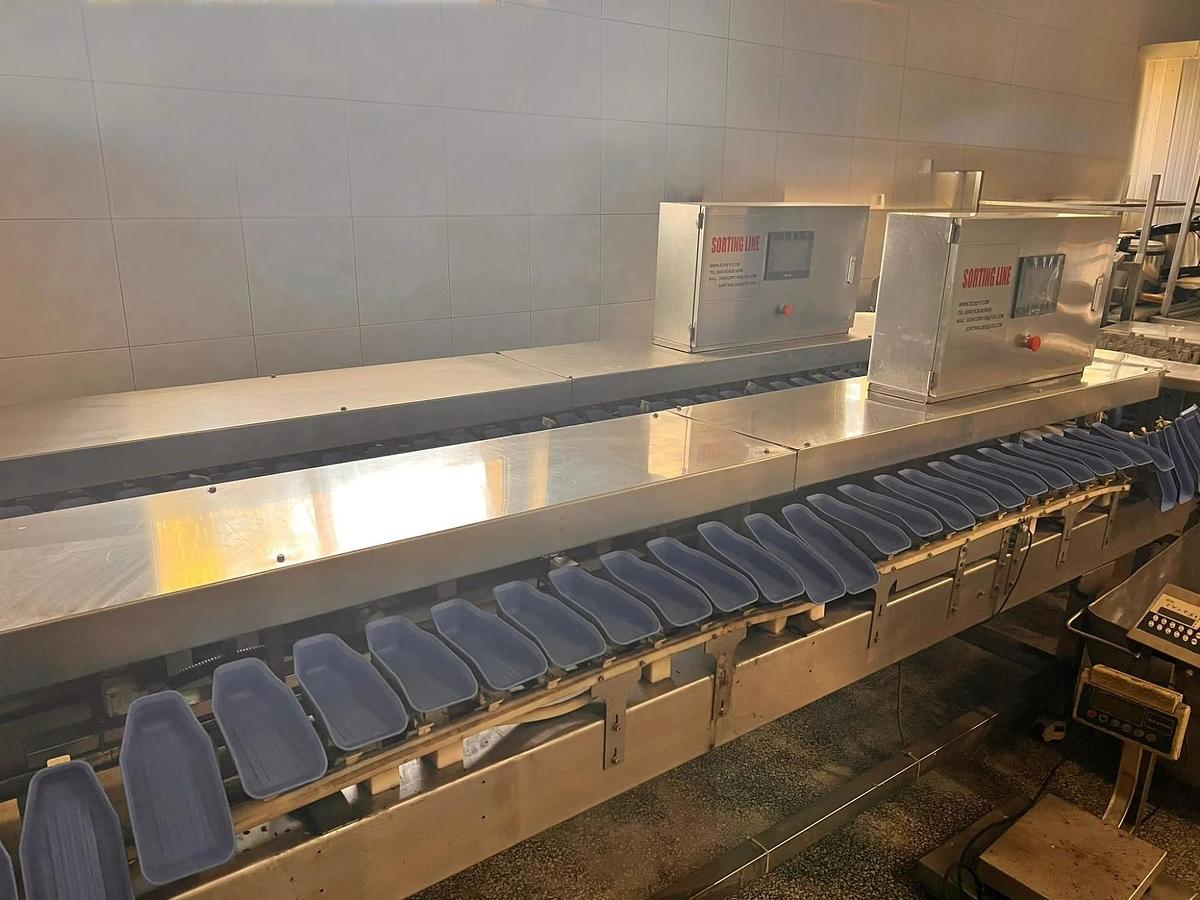 Used Chicken Feet Processing Line 8000 pcs/h