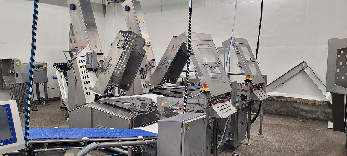 Used Marel OptiCut + V-Cut 200