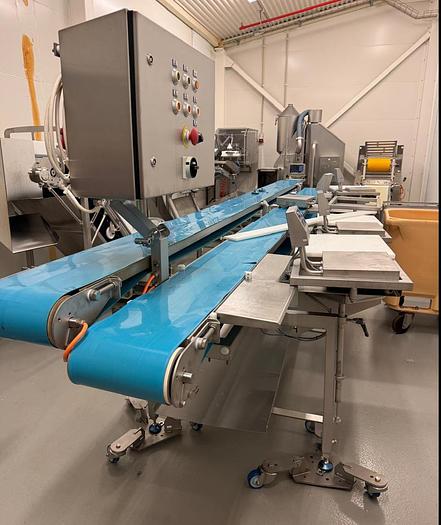 Used MAREL 4 station packing line