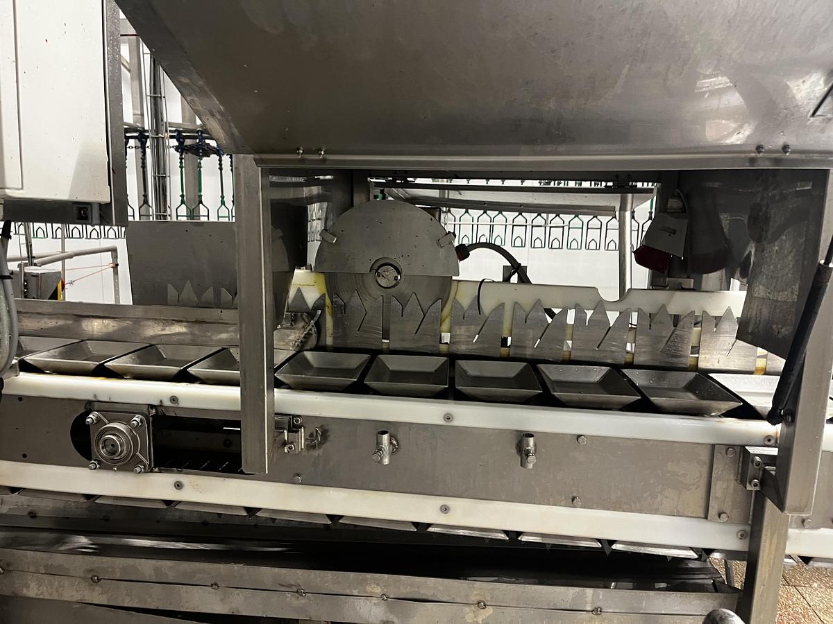 Used 2013 MEYN Apollo 4000 BPH poultry slaughterhouse