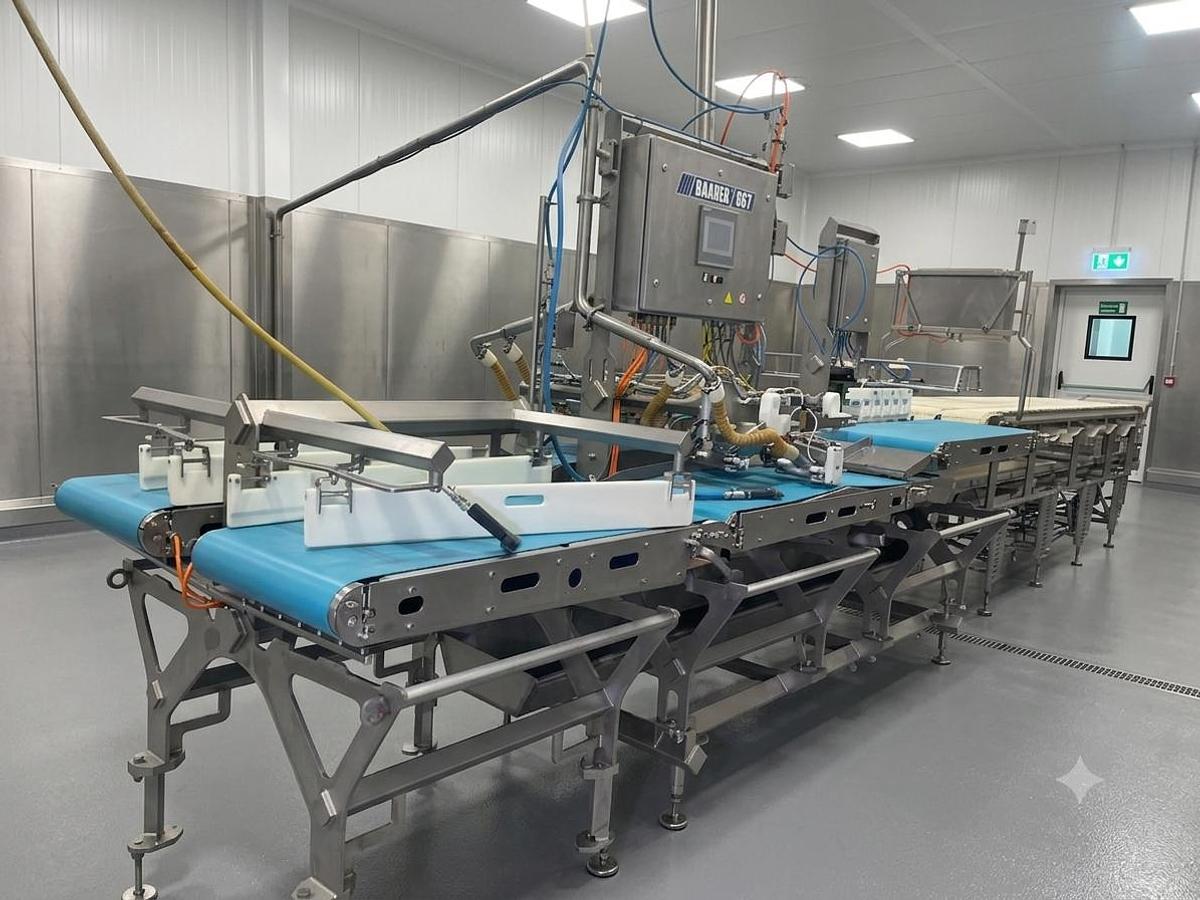 Used BAADER 867 Post-Rigor Pinbone Remover (4-lane)