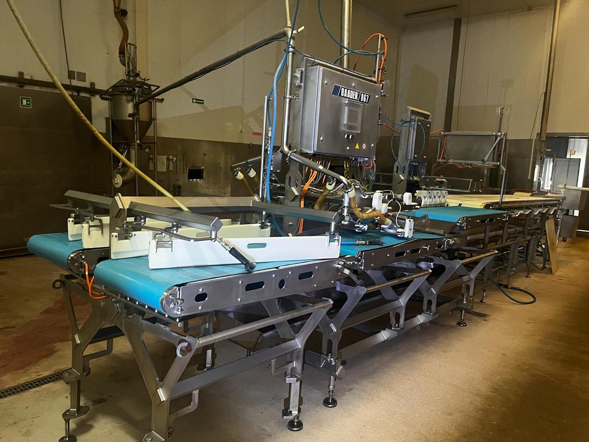 Used BAADER 867 Post-Rigor Pinbone Remover (4-lane)