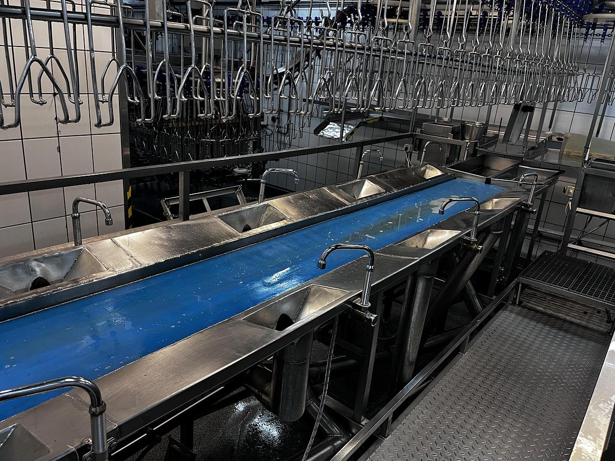 Used EMF Complete poultry processing plant 4000 BPH