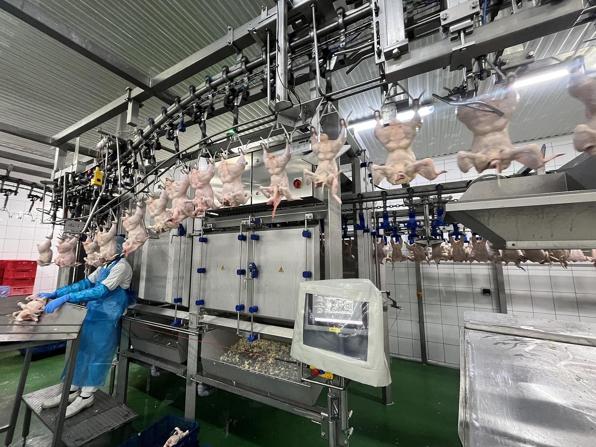 Used Linco/BAADER Proflex