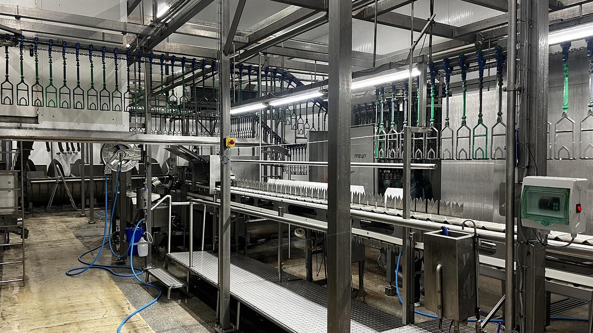 Used 2013 MEYN Apollo 4000 BPH poultry slaughterhouse