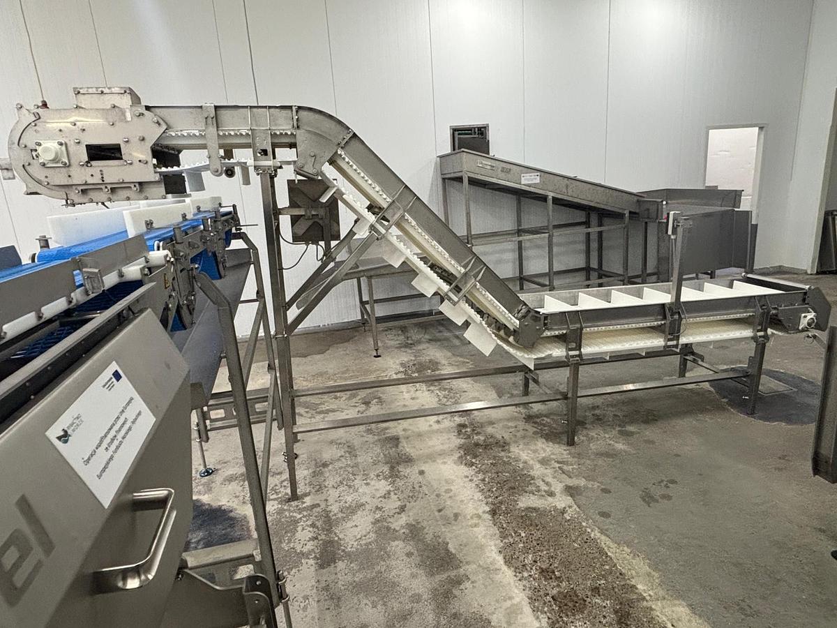 Used MAREL Smart Line grader