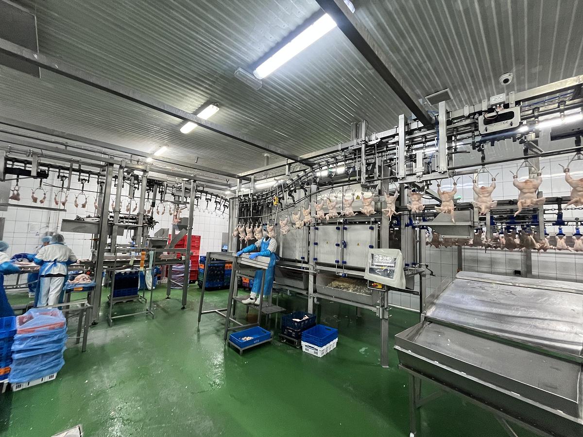 Used Linco/BAADER Proflex