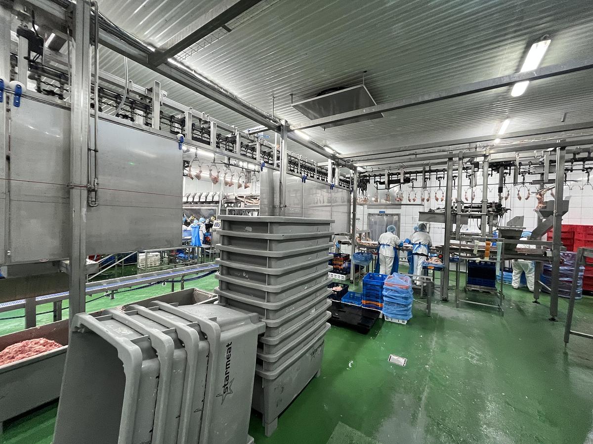 Used Linco/BAADER Proflex