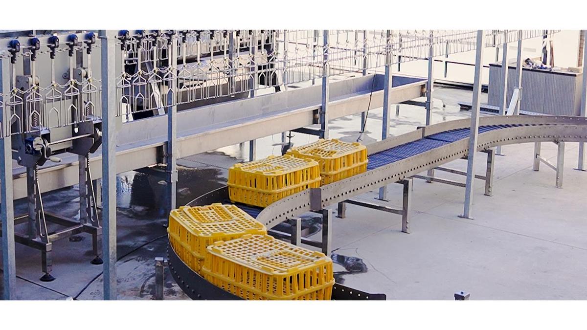 Poultry Machines Complete Poultry Slaughterhouse 1000/2500 BPH