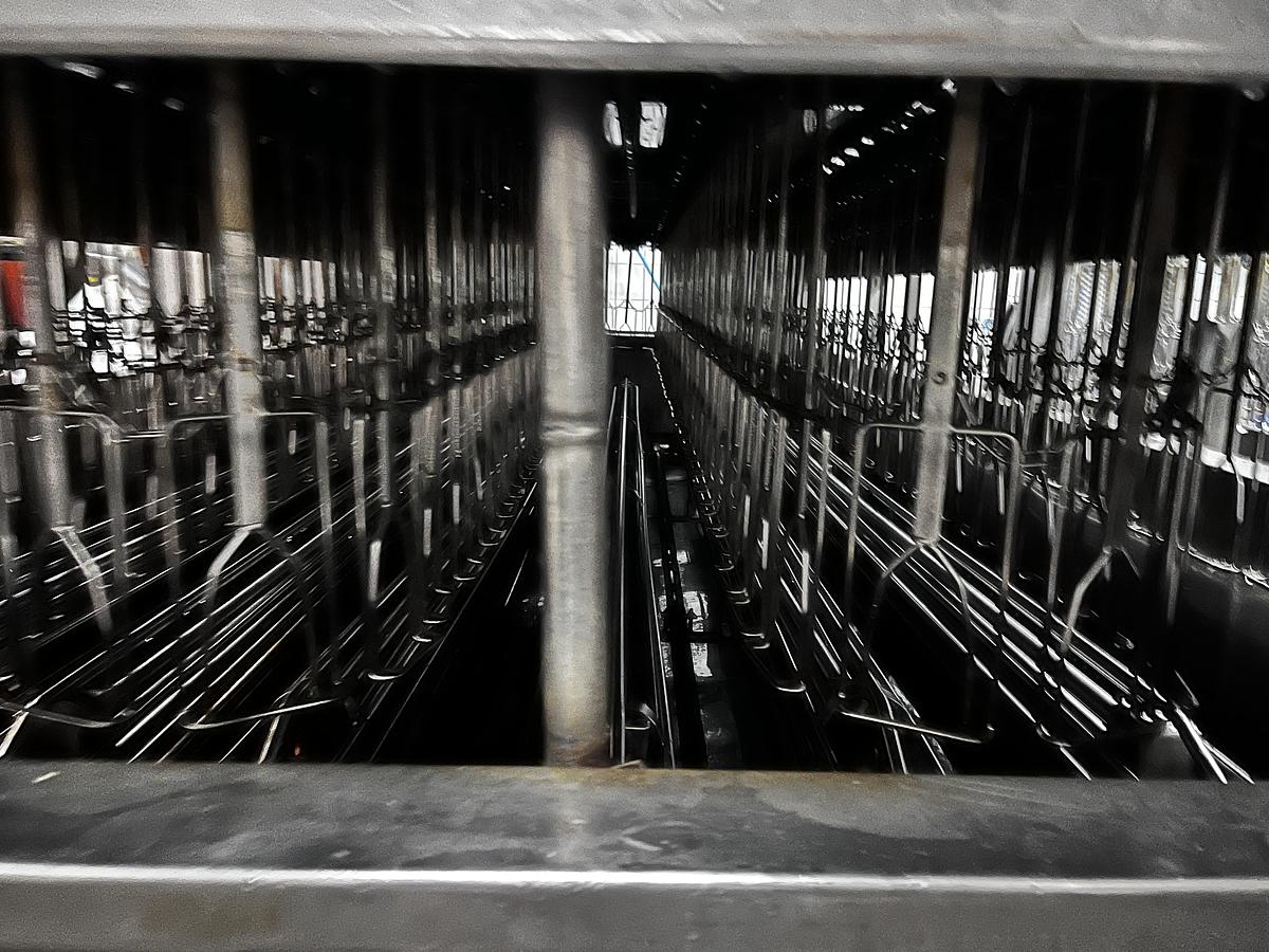 Used EMF Complete poultry processing plant 4000 BPH