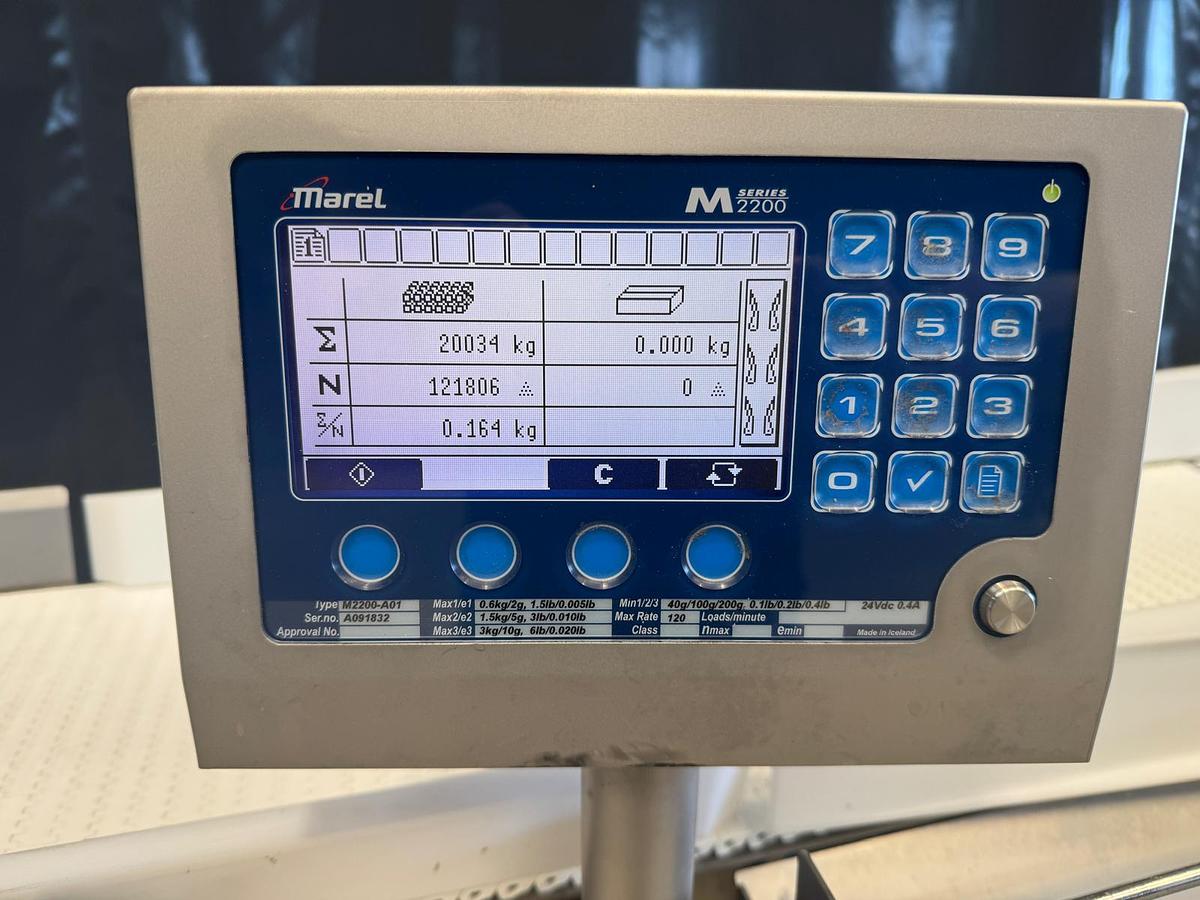 Used MAREL CG 62 XL