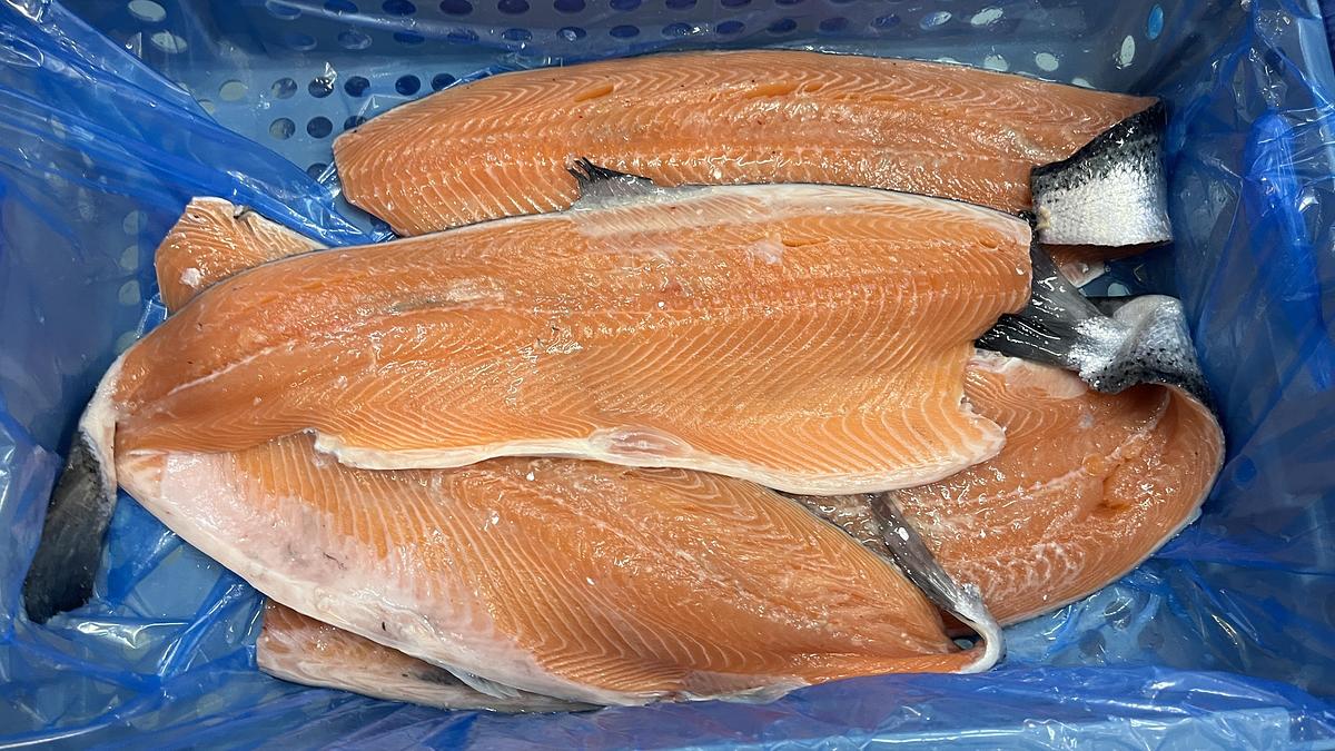 Used MAREL/CARNITECH 2630