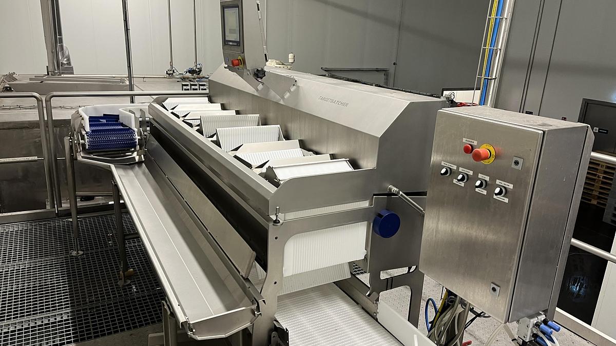 Used 2019 MAREL TBL 3000
