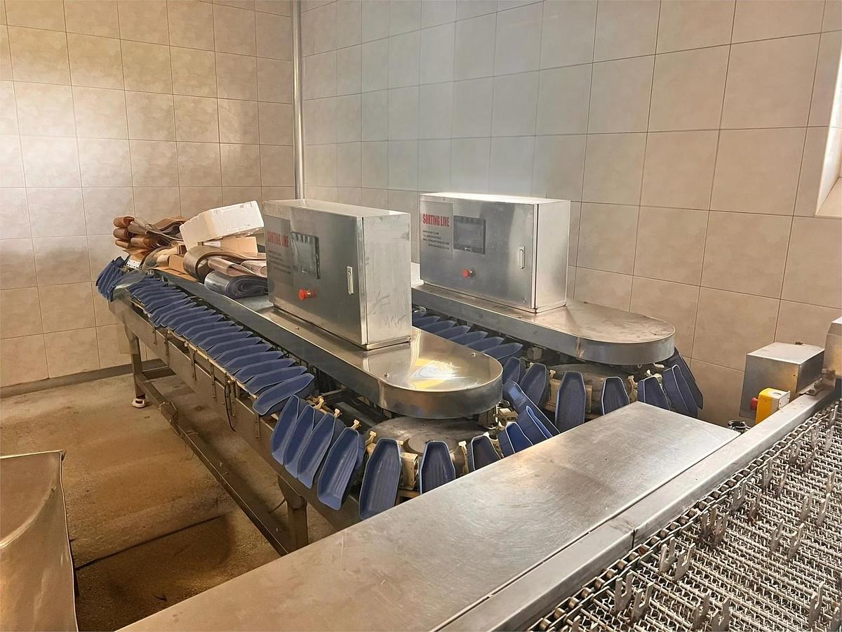 Used Chicken Feet Processing Line 8000 pcs/h